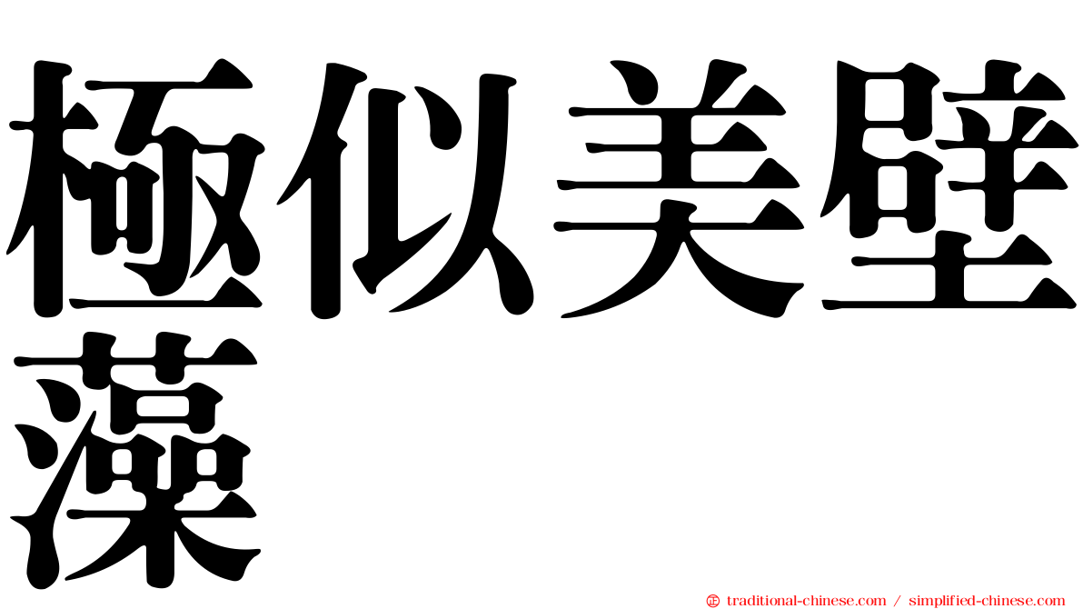 極似美壁藻