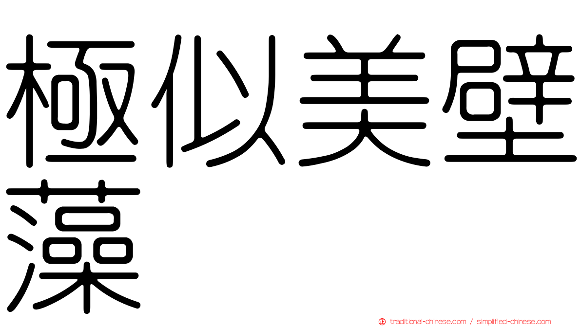 極似美壁藻