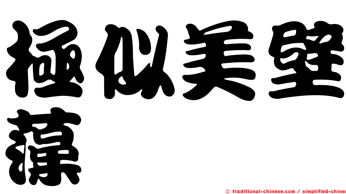 極似美壁藻