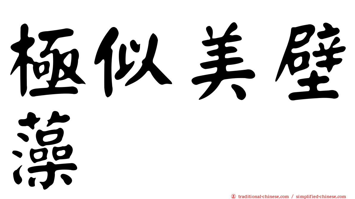 極似美壁藻