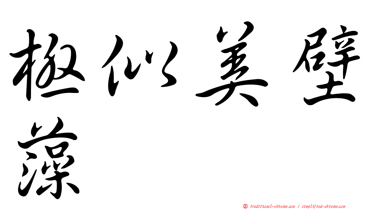 極似美壁藻