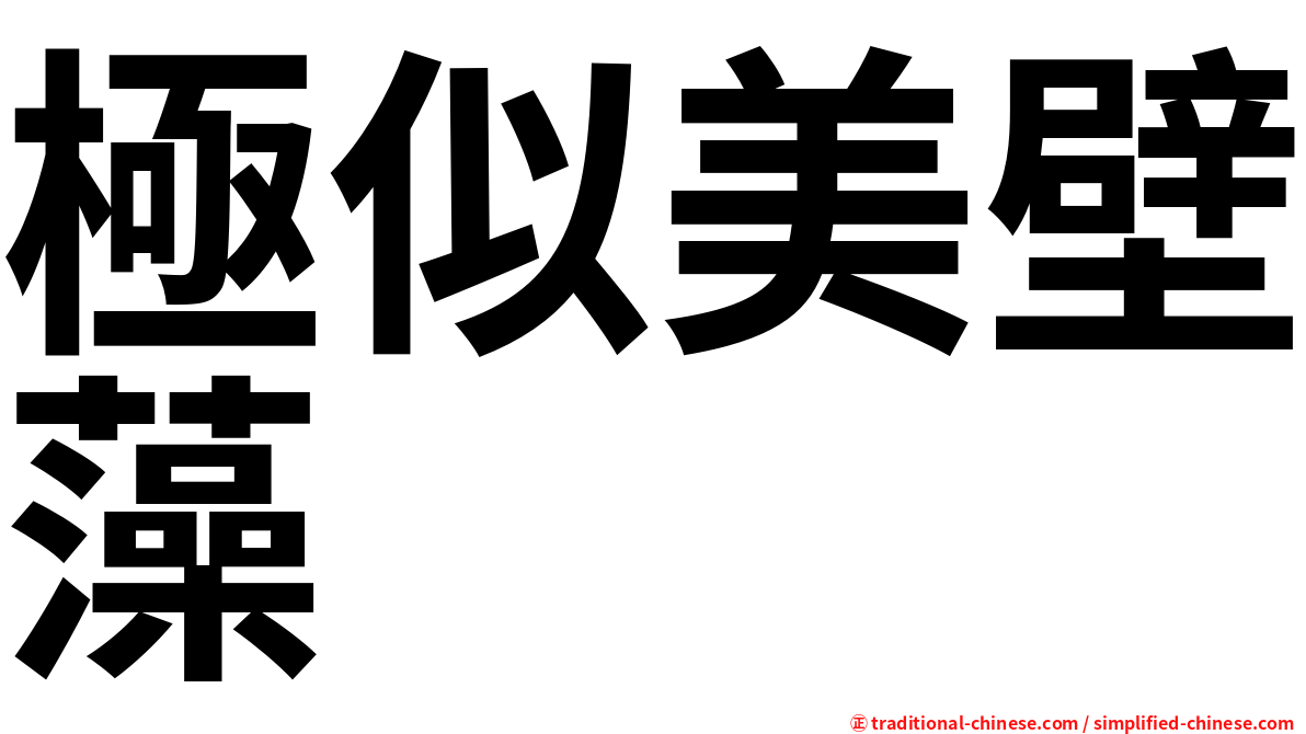 極似美壁藻