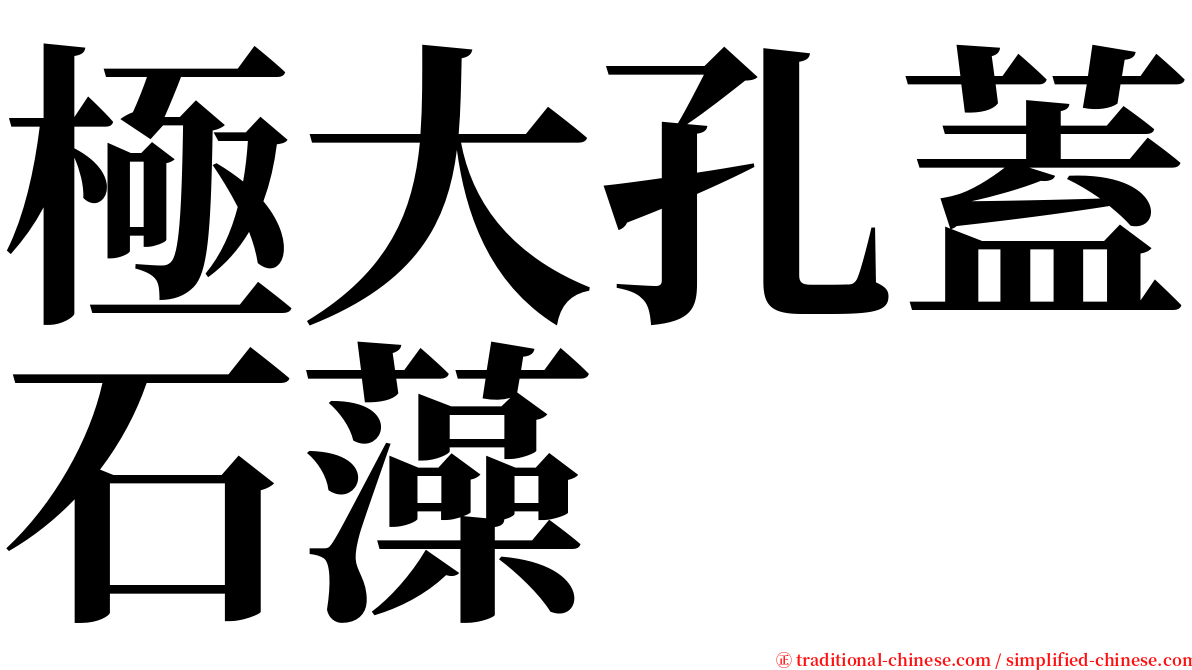 極大孔蓋石藻 serif font