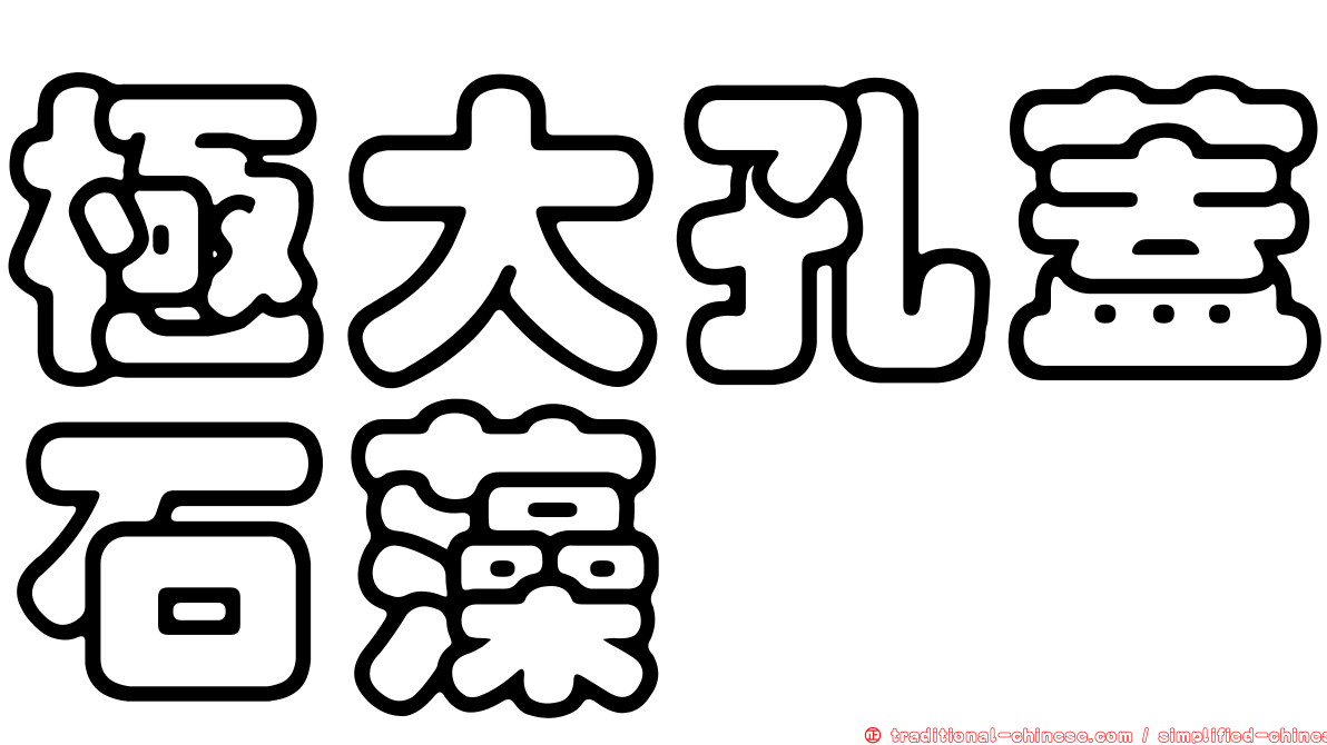 極大孔蓋石藻