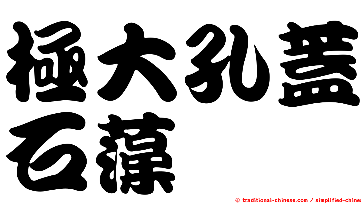 極大孔蓋石藻
