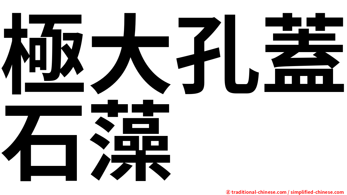 極大孔蓋石藻