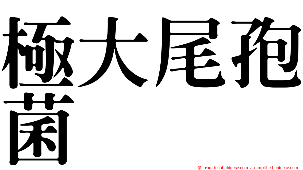 極大尾孢菌