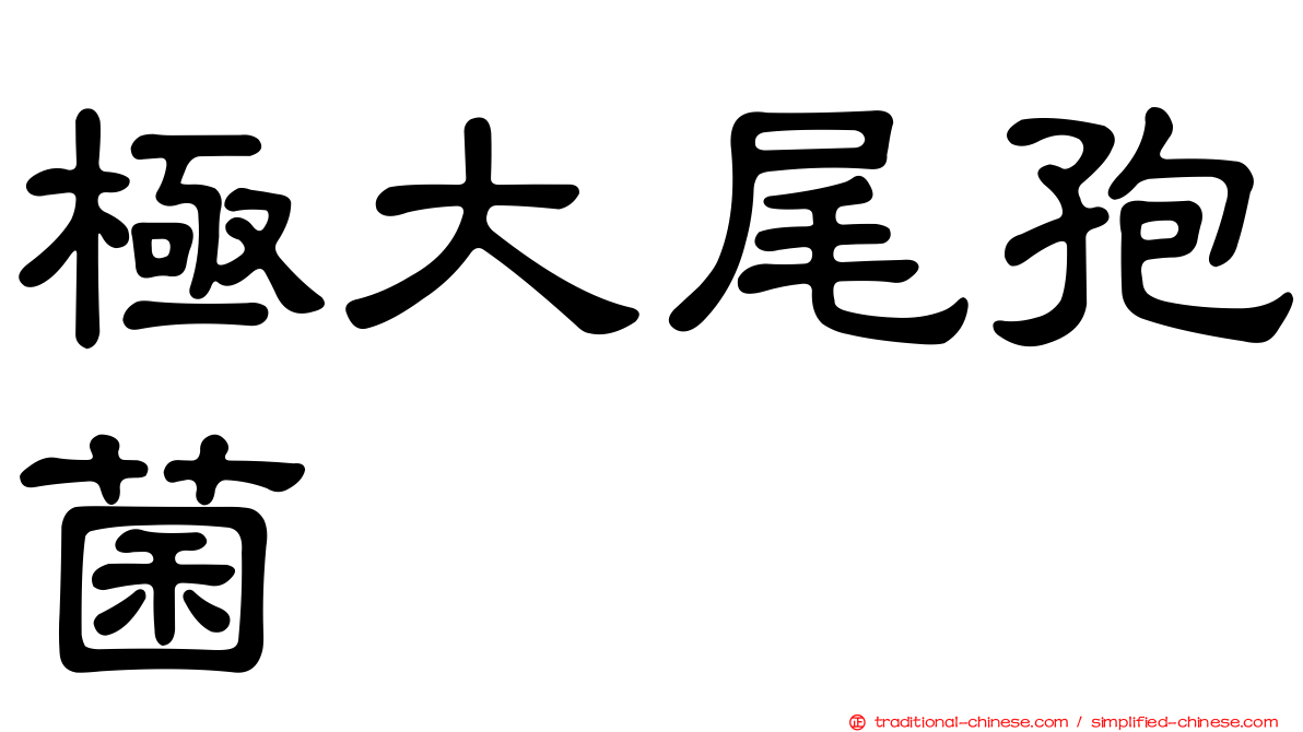 極大尾孢菌