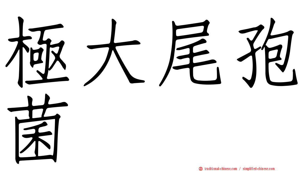極大尾孢菌