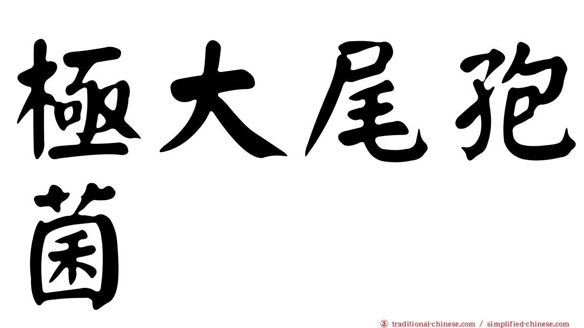 極大尾孢菌
