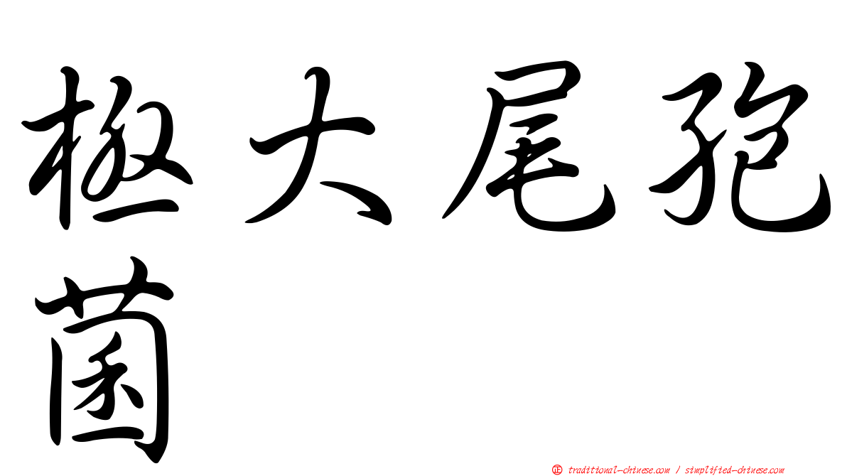 極大尾孢菌
