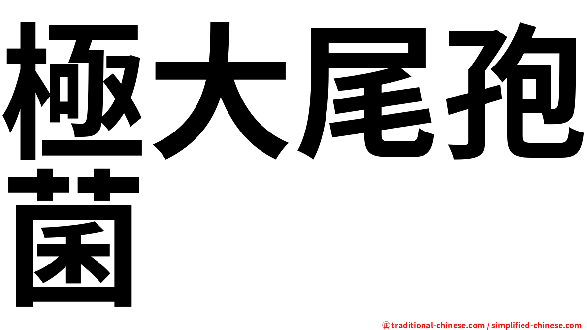 極大尾孢菌