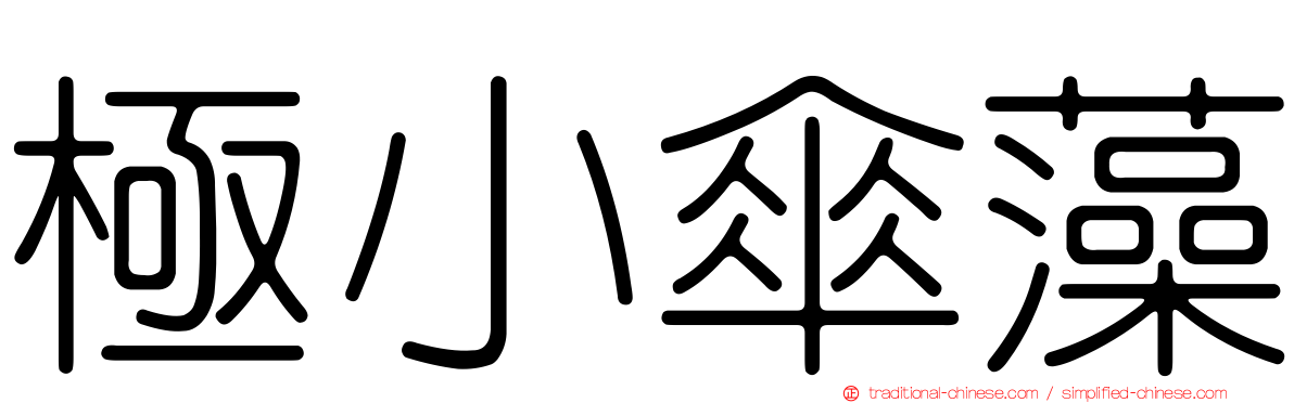 極小傘藻