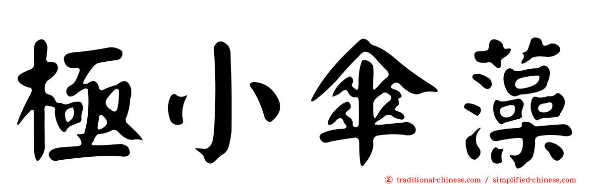 極小傘藻