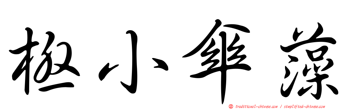 極小傘藻