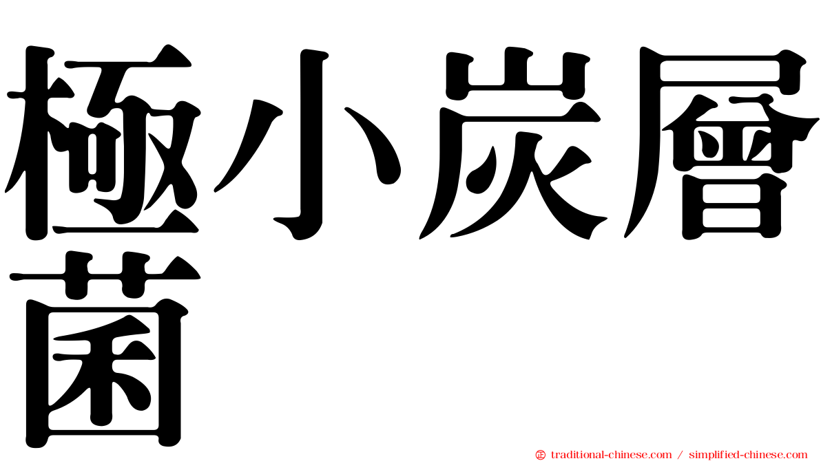 極小炭層菌