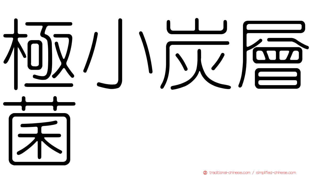 極小炭層菌