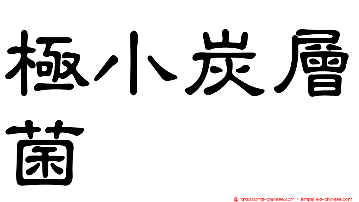極小炭層菌