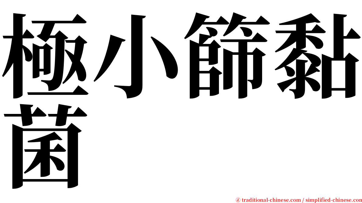 極小篩黏菌 serif font