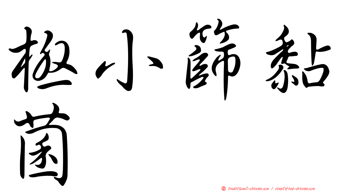 極小篩黏菌