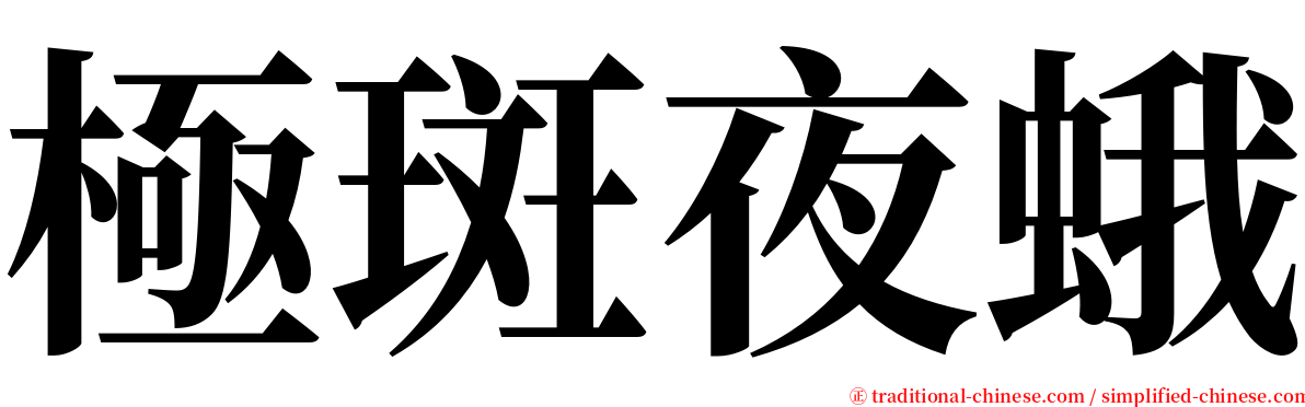 極斑夜蛾 serif font