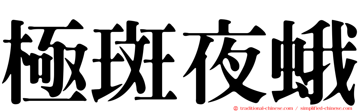 極斑夜蛾