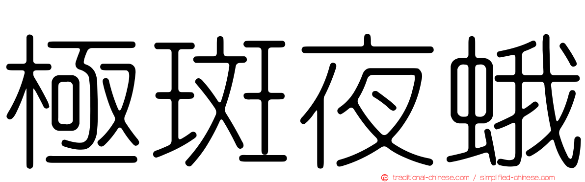 極斑夜蛾