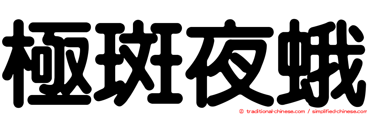 極斑夜蛾