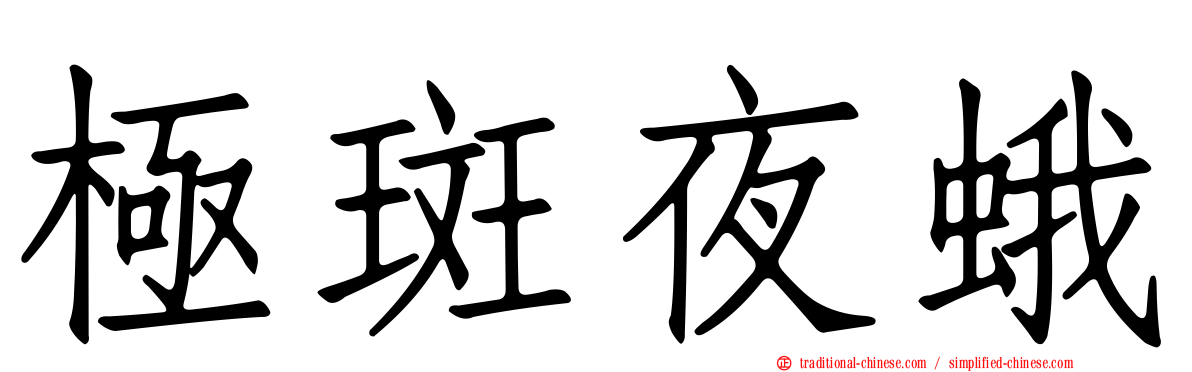極斑夜蛾
