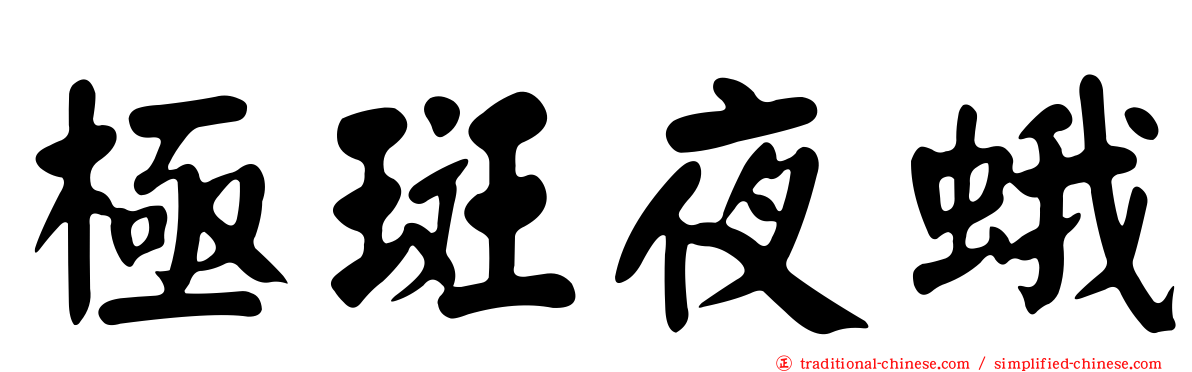 極斑夜蛾