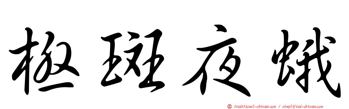 極斑夜蛾