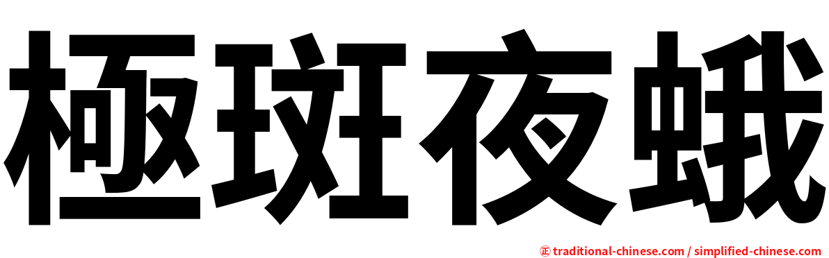 極斑夜蛾