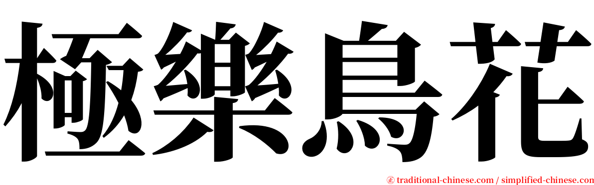 極樂鳥花 serif font