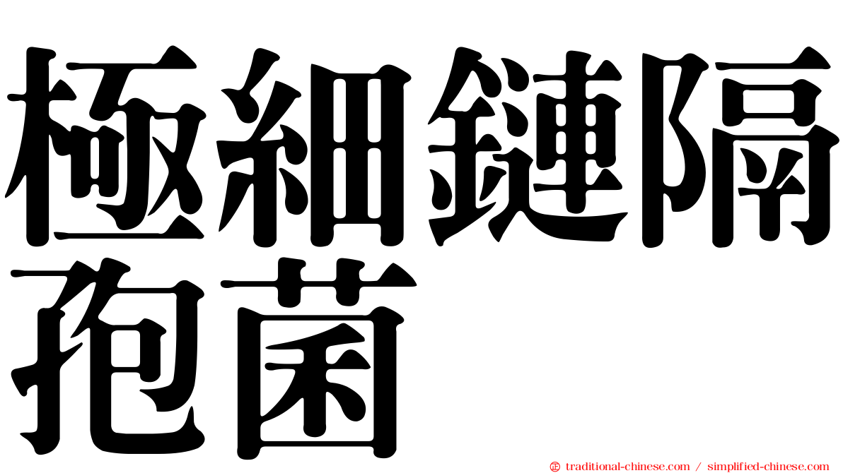 極細鏈隔孢菌