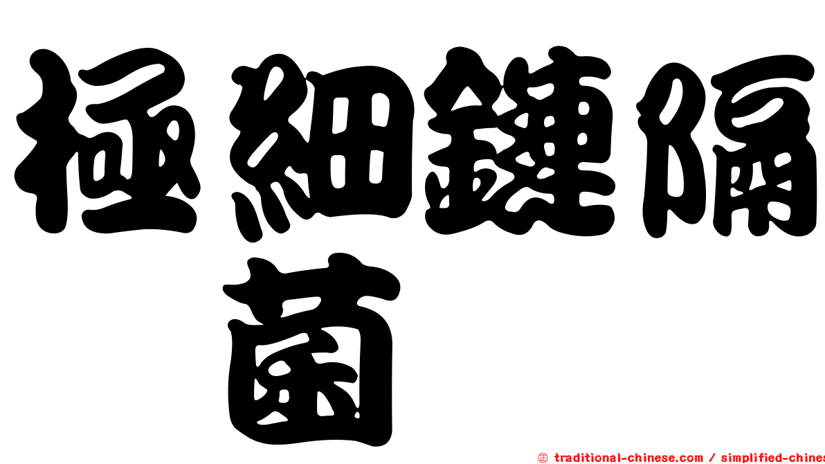 極細鏈隔孢菌