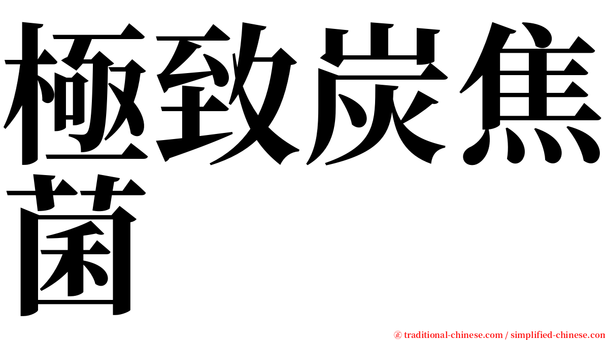 極致炭焦菌 serif font