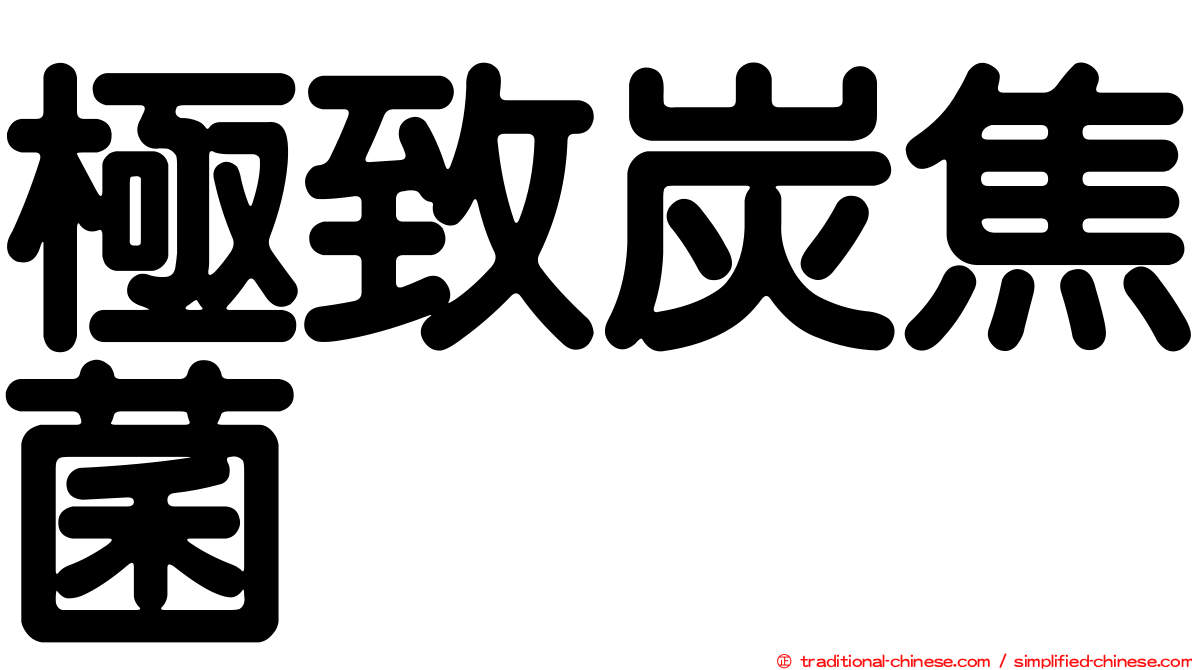 極致炭焦菌