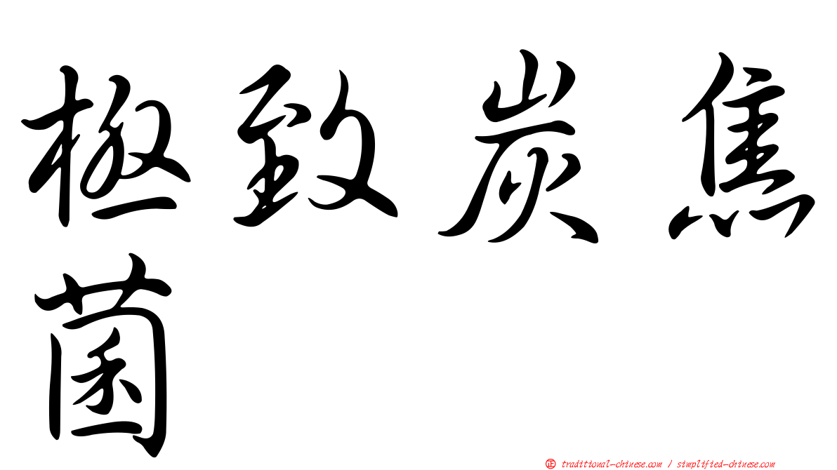極致炭焦菌