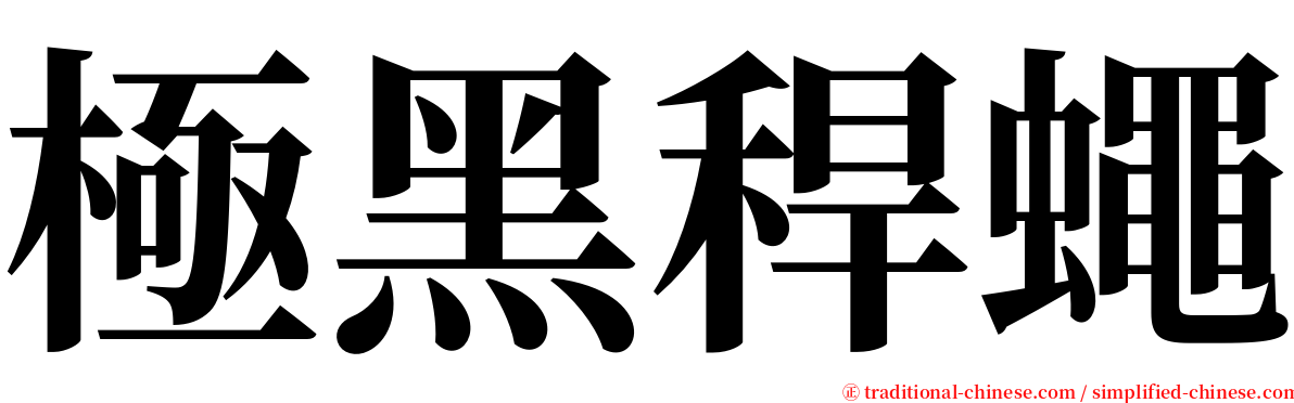 極黑稈蠅 serif font