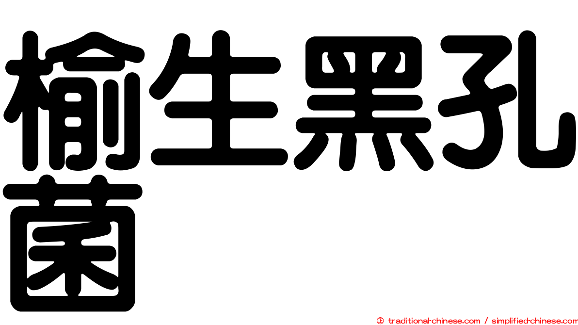 榆生黑孔菌