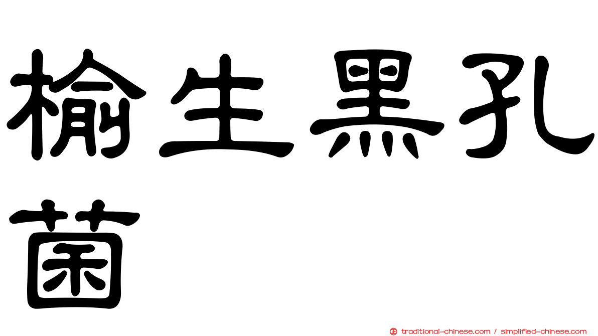 榆生黑孔菌