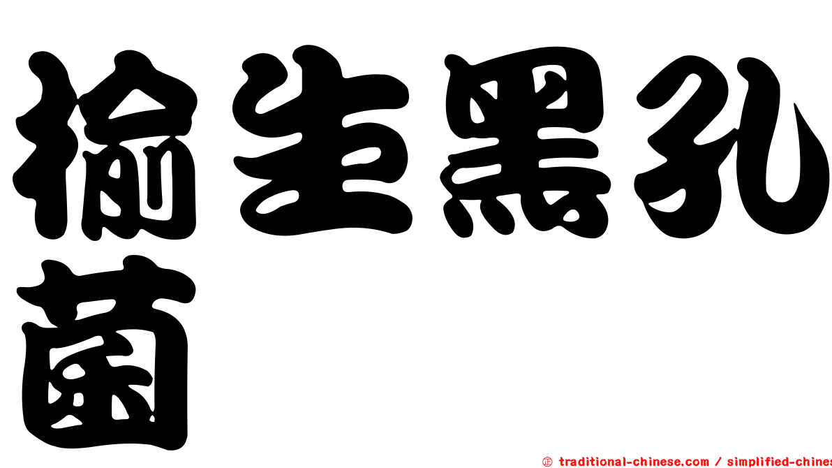 榆生黑孔菌