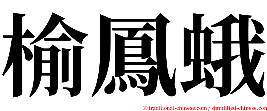 榆鳳蛾 serif font