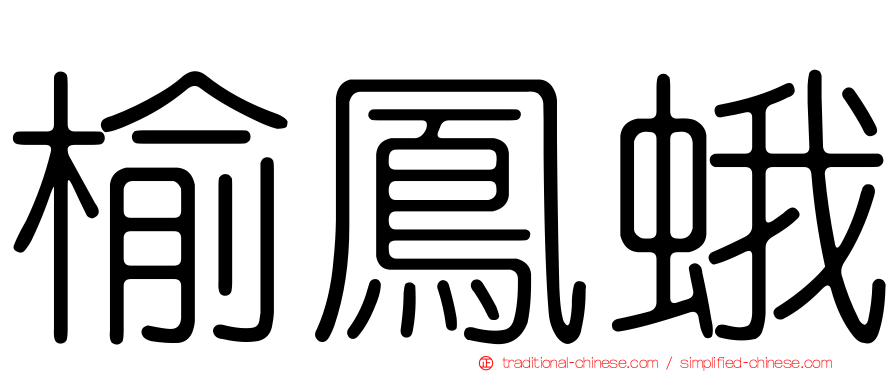 榆鳳蛾