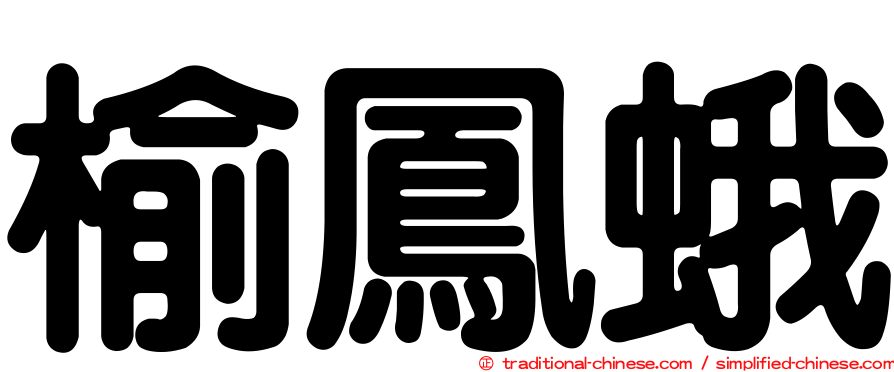 榆鳳蛾