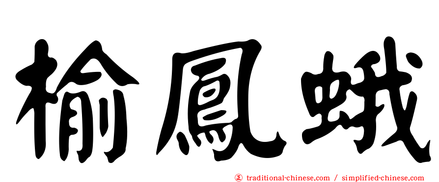 榆鳳蛾