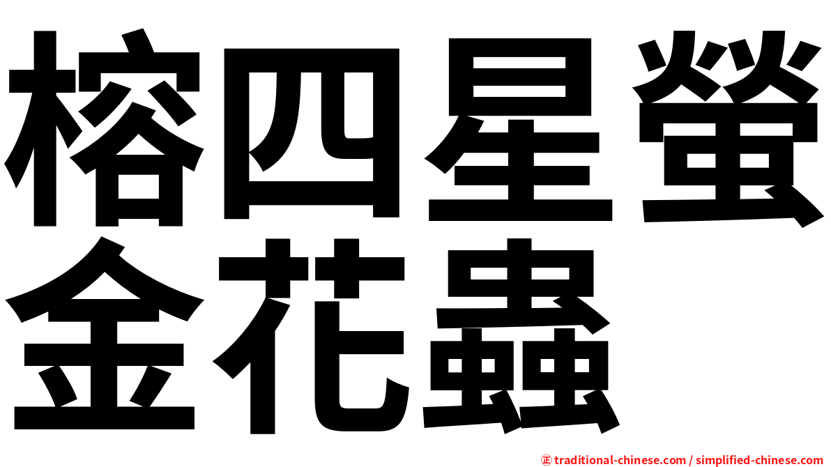 榕四星螢金花蟲
