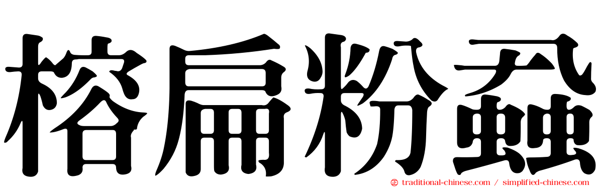 榕扁粉蝨