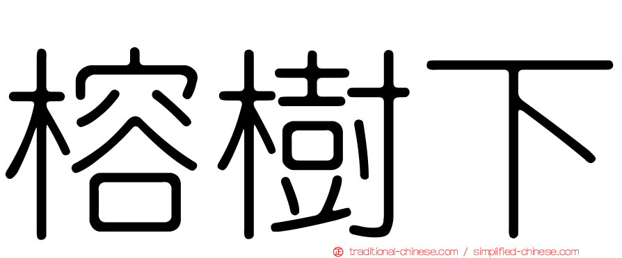 榕樹下