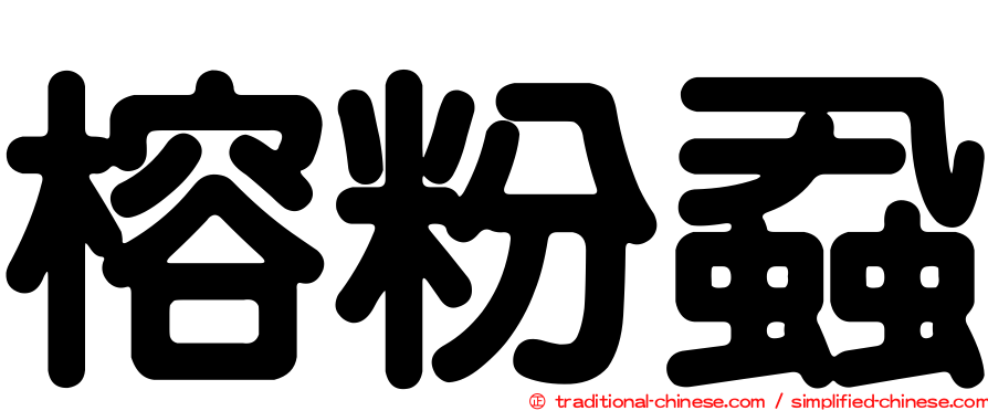 榕粉蝨